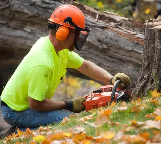 tree services Elizabeth